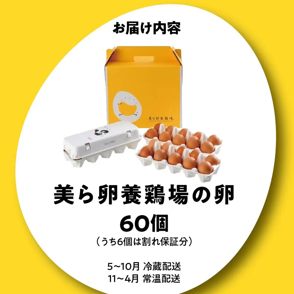 美ら卵養鶏場の卵 60個【順次配送】   
