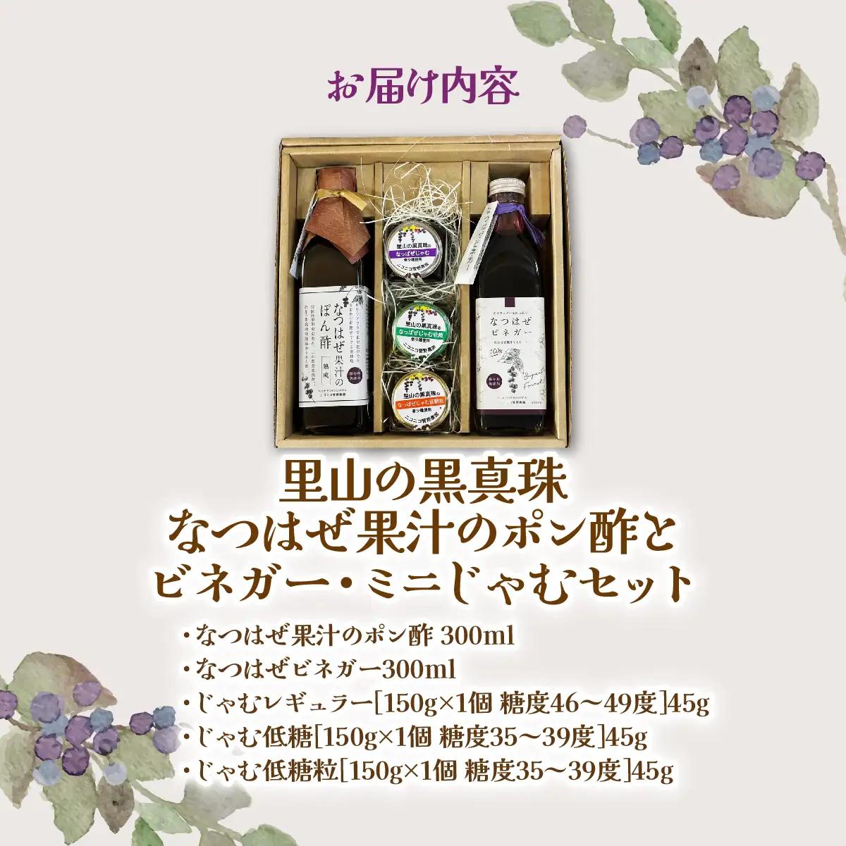 【ジャパン・フード・セレクション グランプリ受賞！】なつはぜ果汁のポン酢とビネガー 各300ml、ミニジャム45g×3 ITTAA009