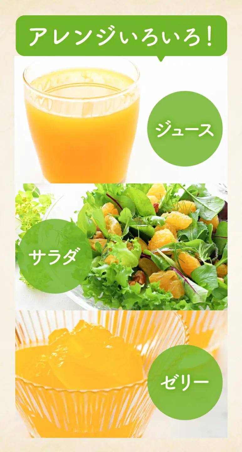 極早生みかん10kg 高橋商店《9月下旬-10月中旬頃出荷》