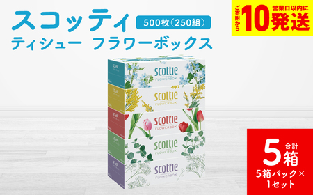 スコッティ ティッシュ 250組 5箱 ティシュー