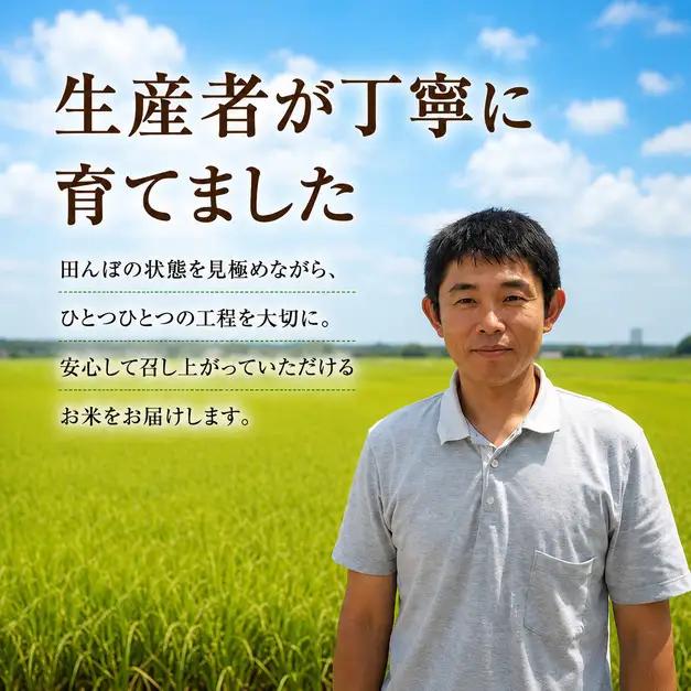あきたこまち 5kg （茨城県共通返礼品・ひたちなか市産）