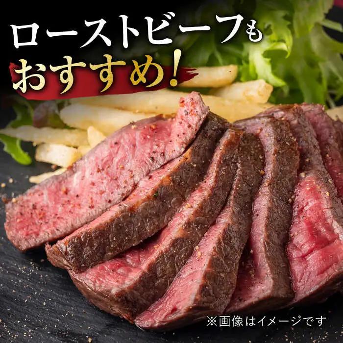 佐賀牛 ヒレステーキ 750g 佐賀牛[FDB025]