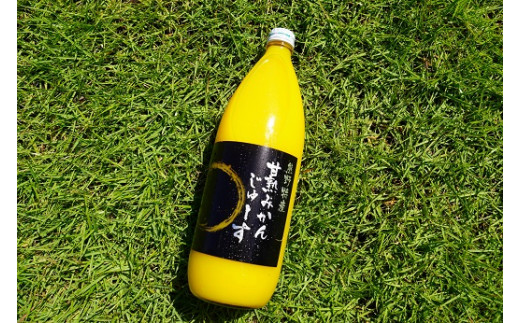 みかんジュース 仲森農園の麗紅甘熟みかんじゅーす 1L×3本 ミカンジュース みかん ミカン 温州みかん ストレート フルーツジュース フルーツ 果物 くだもの 人気 数量限定 仲森農園 三重県 熊野