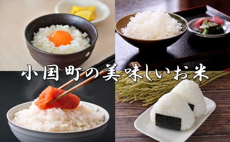 （令和7年産）山形県小国町産 はえぬき5kg