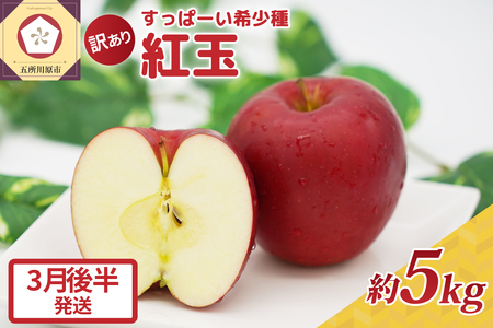 紅玉 りんご 訳あり約5kg【2025年3月後半発送】青森リンゴ不揃いタルトタタンにおすすめ紅玉リンゴ