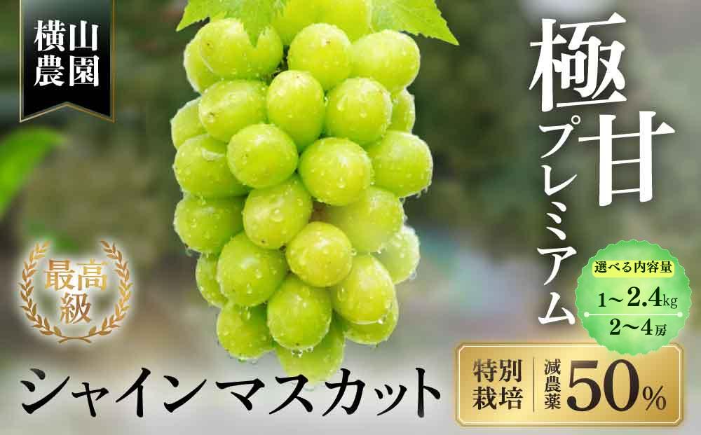 
                  【（2026年/令和8年）発送＜先行予約＞】特別栽培 減農薬 シャインマスカット 選べる容量（1.0kg～2.4kg） 先行予約 先行 予約 人気 山梨県産シャインマスカット やまなしけんさんしゃいんますかっと マスカット しゃいんますかっと 大粒 シャインマスカット ブドウ 贈答 山梨県 甲斐市 CF-P-01
                