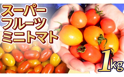 
                  《 2027年 収穫分 》 スーパーフルーツミニトマト 約1kg 先行予約 ミニトマト フルーツトマト ブランドトマト 野菜 ギフト 贈答 [BC070sa]
                