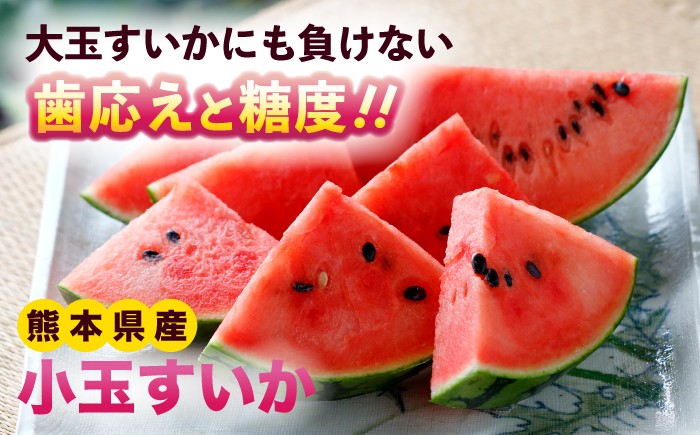 訳あり 小玉すいか 2玉 計約2kg～3kg 小玉西瓜 スイカ