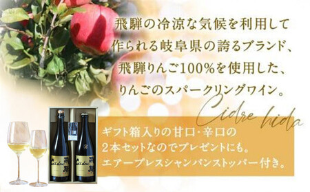 飛騨りんご お酒 シードル 飛騨 辛口・甘口 2本セット  スパークリング スパークリングワイン 果実酒 りんご リンゴ ワイン セット 化粧箱入り プレゼント  木戸脇果樹園　飛騨 辛口　c548 