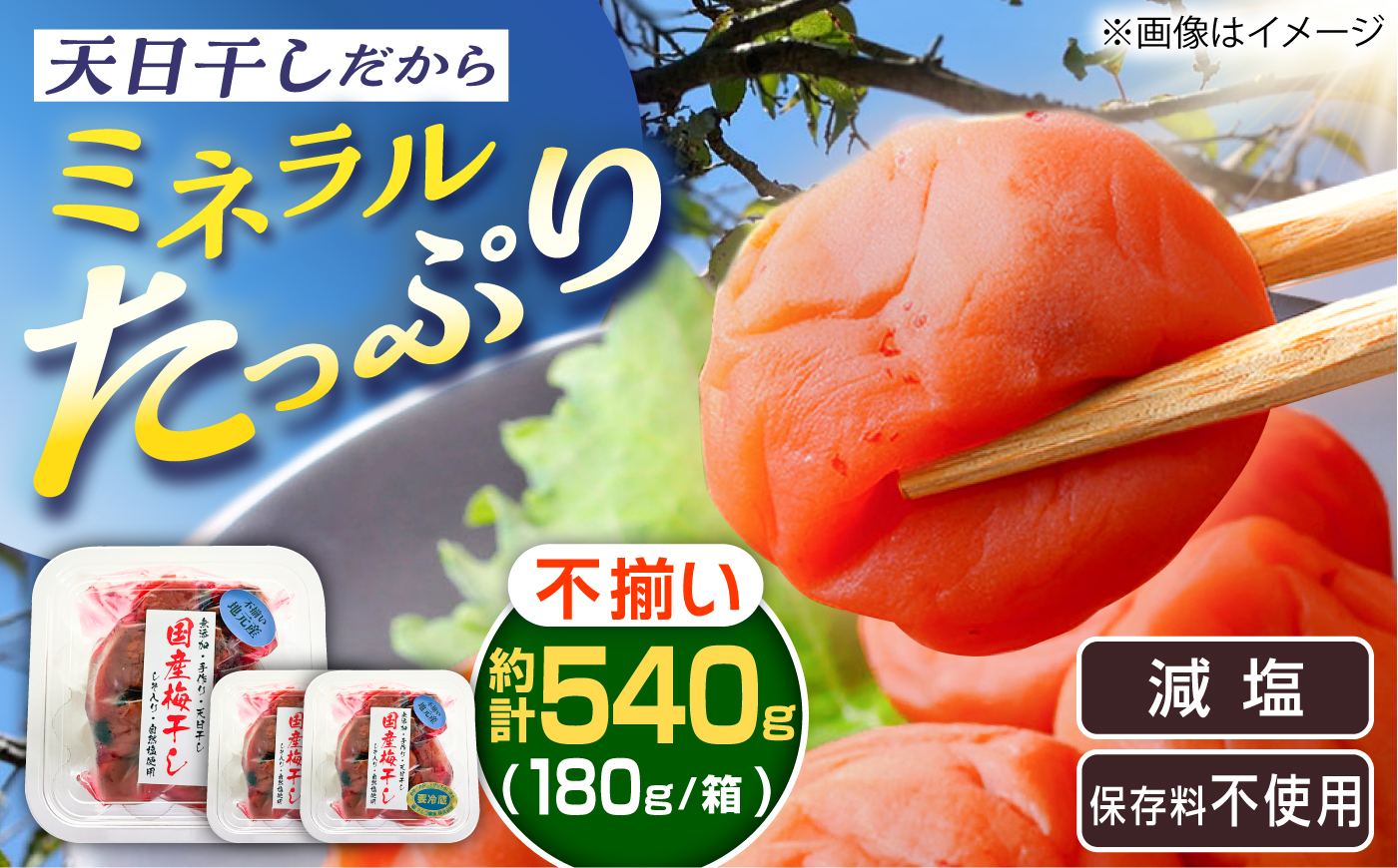 岐阜県産 不揃い 梅干し　計540g 180g×3袋 (天日干し・減塩・保存料不使用) / 梅干し 天日干し 減塩 / 恵那市 / マルコ醸造 [AUCT025]