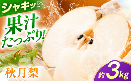 【先行予約】秋月梨　約3kg 梨 ナシ フルーツ 果物 【日本フルーツ株式会社】[ZFJ062]