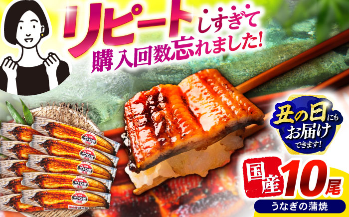 
            【最速発送】＜諫早淡水＞うなぎ蒲焼10尾 / うなぎ ウナギ 鰻 蒲焼き 蒲焼 かばやき 国産 冷凍 小分け うな重 うな丼 ひつまぶし / 諫早市 / 活うなぎ問屋 諫早淡水 [AHAT003]  最速 最短 スピード 発送 丑の日 土用丑の日
          