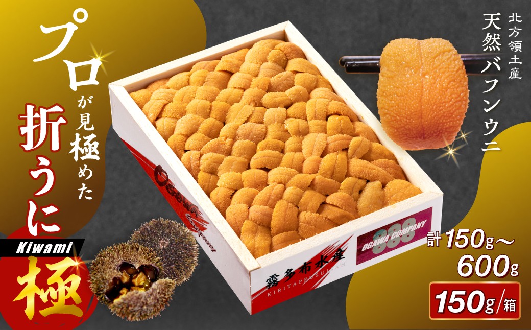 
                  【内容量が選べる】≪プロ厳選≫最高級折うに(極)150g～600g うに ウニ 雲丹 折うに 海鮮 海産物 北海道 浜中町 ふるさと納税 人気_H0014-110-SKU
                