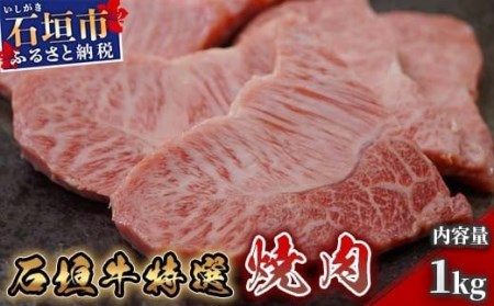 I-10 石垣牛特選焼肉1kg（八重山パーツミート）