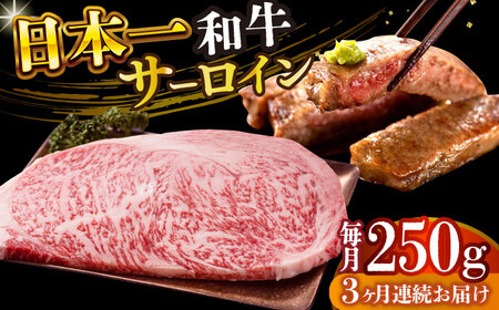 【3回定期便】A4-A5 長崎和牛 サーロインステーキ (250g×1)【株式会社 MEATPLUS】サーロイン サーロインステーキ 和牛サーロイン 牛肉ステーキ サーロイン 小値賀 [DBS082]