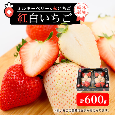 栃木県産紅白いちご 2パック(合計600g)【配送不可地域：離島・北海道・沖縄・中国・四国・九州】【1674449】