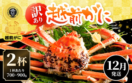 【ふるなび限定】【訳あり】≪浜茹で≫越前がに 2杯（生で1杯700～900g）食べ方しおり付【規格外 雄 ズワイガニ かに カニ 蟹 越前ガニ 姿 ボイル 冷蔵 福井県 FN-Limited FN-Limited FN-Limited】【12月発送分】希望日指定可 備考欄に希望日をご記入ください [e14-x023_12]