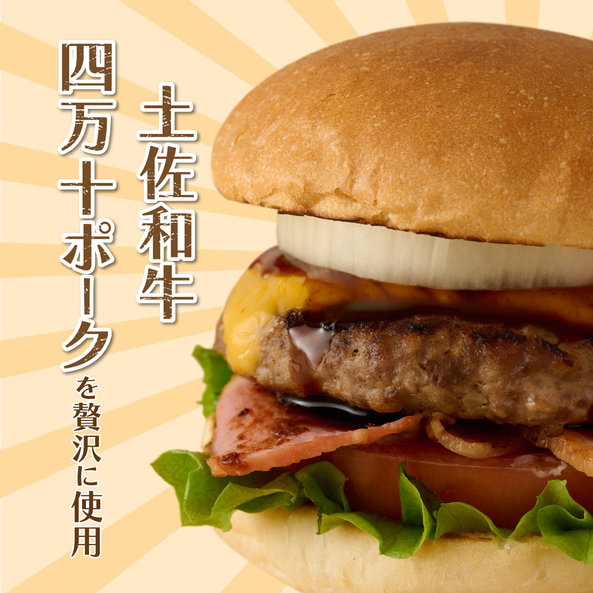 土佐和牛＆四万十ポーク合い挽きハンバーガーセット【３人前】