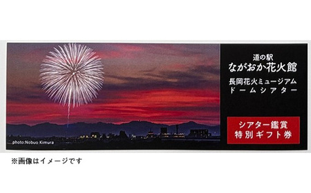 H8-04A【長岡花火】ドームシアター鑑賞ギフト券×10名様