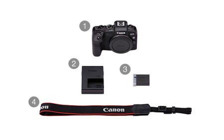 0048C_【Canon】 キヤノン ミラーレス カメラ EOS R5 MarkⅡ レンズキット キャノン 一眼 家電