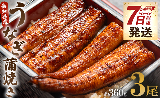 【7日程度で発送】うなぎ蒲焼き 3尾(合計約360g)(無頭) - 送料無料 鰻 ウナギ 魚介 晩ご飯 夕飯 おかず おつまみ スタミナ 敬老の日 ギフト 贈答 贈り物 丑の日 うなぎ屋きた本 高知県
