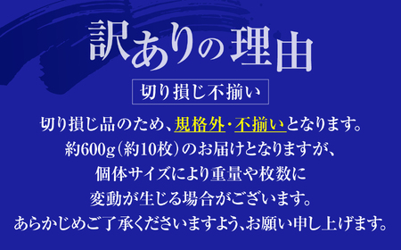 【年内配送】訳あり とろさば切身干し 約 600g (10切前後 ) 冷凍 ノルウェー産 サバ さば 鯖 宮城県 塩竈市