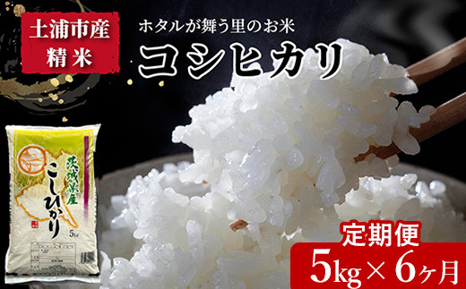 【定期便 6ヶ月】令和7年産 土浦市産 コシヒカリ 精米5kg ホタルが舞う里のお米 ※離島への配送不可 ※2025年9月中旬頃より順次発送予定