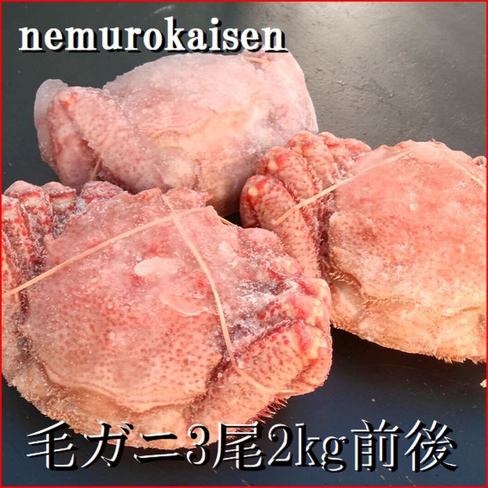 【ふるさと納税】【12月21日決済確定分まで年内配送】 [北海道根室産] 毛がに 3 尾 ( 計 2kg 前後 ) 毛ガニ 毛蟹 けがに ケガニ かに カニ 蟹 お取り寄せ グルメ 海鮮 ミソ カニミソ カニ味噌 蟹味噌 かに味噌 北海道 根室市 ふるさと納税 E-57007