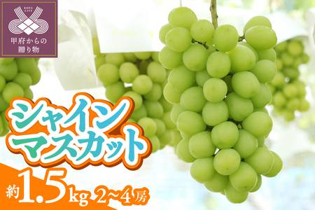 〈2026年度配送分〉甲府市産　シャインマスカット　約1.5kg（2～4房）