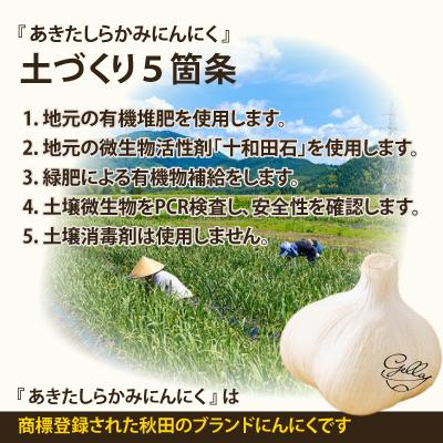 ふるさと納税 大館市 【あきたしらかみにんにく】にんにくCUBE 250g(1袋約50g×5袋) |  | 02