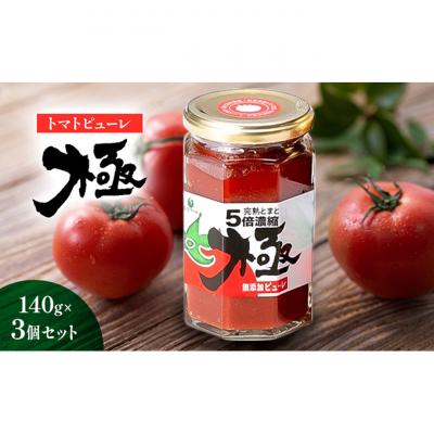 ふるさと納税 新潟市 トマトピューレ「極」　140g×3個[54071553]