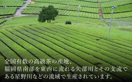 八女茶 10袋セット(計1kg)＜お茶の星陽園＞那珂川市 お茶 緑茶 茶葉 20000 20000円 [GAD002]