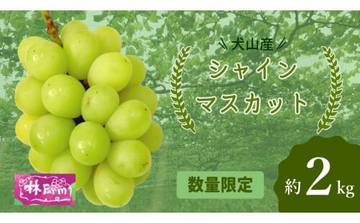 25-15_【期間限定・数量限定】犬山産 シャインマスカット 約2キロ（先行予約） ｜ ぶどう 甘い 2キロ 限定 夏 林ファーム 房 ブドウ 中玉 犬山 ご自宅用 贈答 贈り物 プレゼント ご褒美 小粒 シャインマスカット 種なし 皮ごと