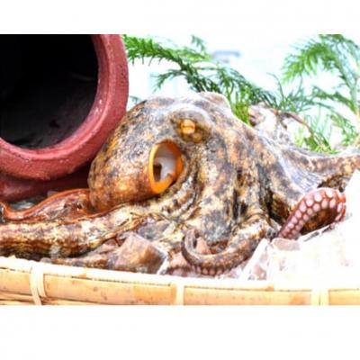 ふるさと納税 国東市 船上活き締め!生たこ丸ごと約1kg(約1〜4杯)_1810R |  | 03