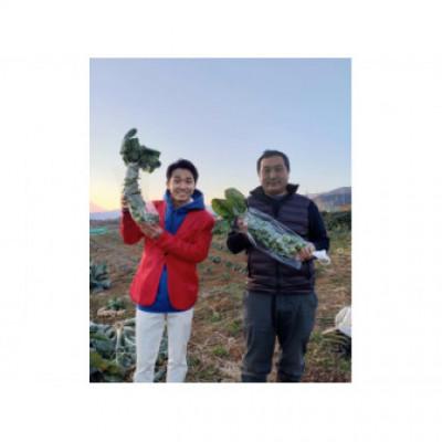 ふるさと納税 秦野市 〈2025年12月から発送予定〉おうち de 収穫体験　株ごと芽キャベツ2株 from名水の里 秦野 |  | 03