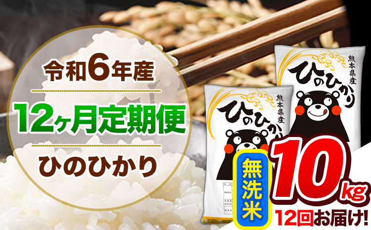 【12ヶ月定期便】令和6年産 定期便 無洗米 ひのひかり 10kg 《申込み翌月から発送》令和6年産 熊本県産 ふるさと納税 精米 ひの 米 こめ ふるさとのうぜい ヒノヒカリ コメ 熊本米 ひのもり