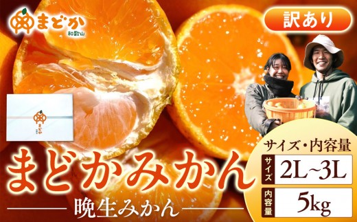 ［先行予約］［訳あり］蔵出しみかん（晩生みかん）2L〜3Lサイズ混合 5kg＋300g（傷み補償分）［2026年1月上旬より発送］