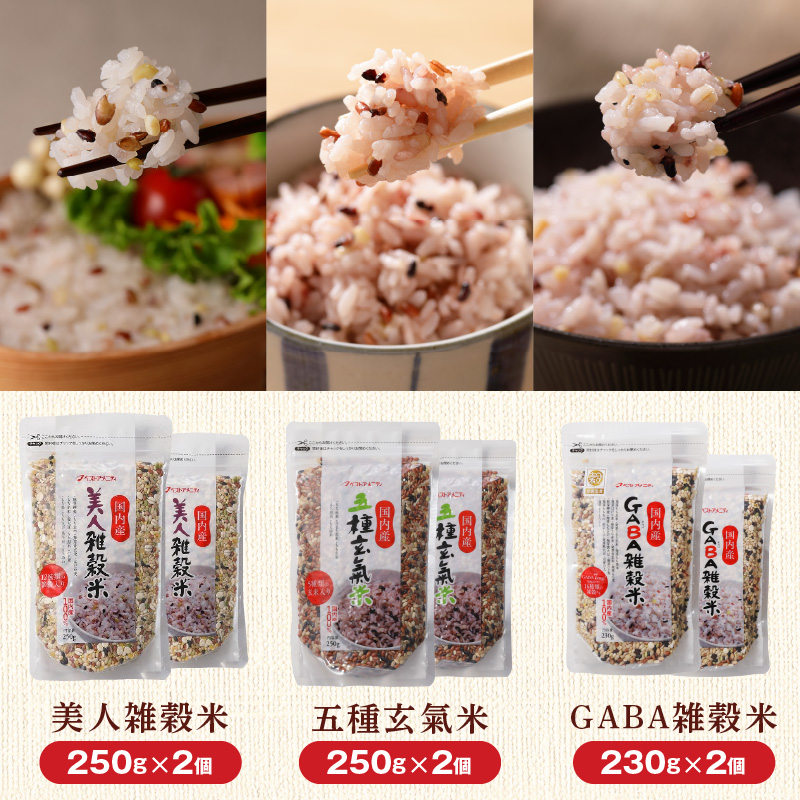 【隔月6回　定期便】国内産 雑穀米3種詰め合わせ （GABA雑穀米・美人雑穀米・五種玄氣雑穀米　各2個）_米 雑穀米 おいしい 3種 6パック 詰め合わせ セット 1460g 隔月 定期便 6回 国内