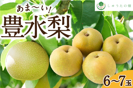 【先行予約】しゅうたの畑 あまーい♪ 豊水梨 6玉から7玉 2025年8月中旬から8月下旬 出荷予定