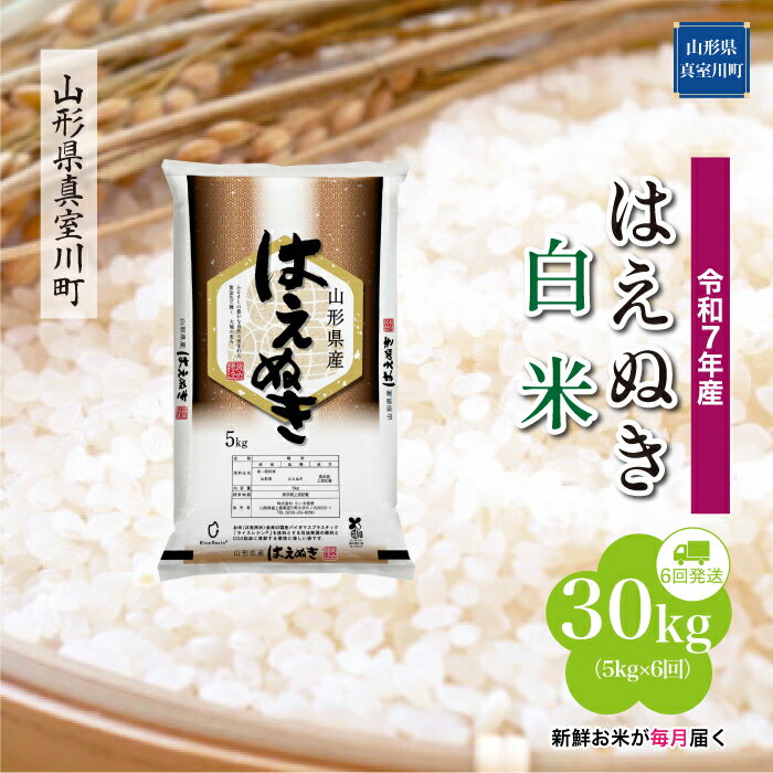 【ふるさと納税】 令和7年産 真室川町厳選 はえぬき ［白米］ 30kg 定期便（5kg×6回お届け）