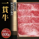 【ふるさと納税】 牛肉 すき焼き しゃぶしゃぶ 阿波牛 600g 黒毛和牛 和牛 一貫牛 特選 肉 にく 赤身 霜降り スライス ギフト 贈答 お取り寄せ お盆 中元 徳島県