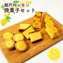 【ふるさと納税】瀬戸内 レモン 焼菓子 セット (1) 玉野市 特産品 デザート スイーツ お菓子 菓子 おかし　玉野市