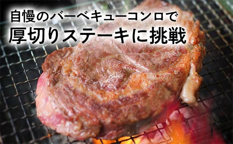 【期間・数量限定】大府市特産　A5黒毛和牛特選あかみ塊肉　1.0kg