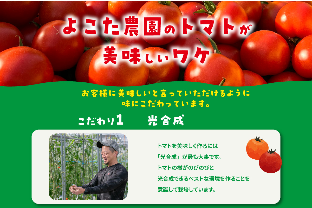 【先行予約】【2025年12月頃から順次発送】フルーツトマト　中玉フルティカ1kg　よこた農園 フフルティカ 野菜 トマト 新鮮野菜 太陽の恵み 中玉トマトトマト料理 愛知県産 フルーツとまと 甘いト