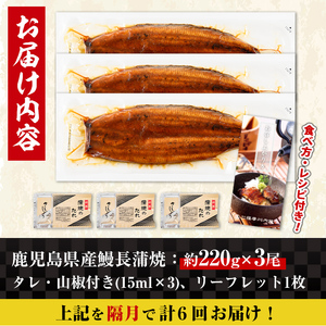 i1175-B ＜定期便・計6回(隔月)＞＼特大サイズ／鹿児島県産 うなぎ蒲焼 3尾セット ＜（約220g×3・計約660g）×全6回＞ 定期便 たれ 山椒付きうなぎ 鰻 ウナギ 特大 特大サイズ 約