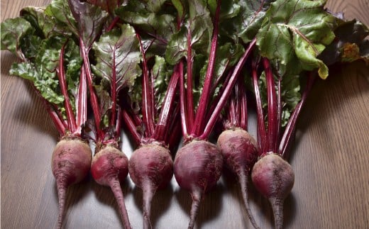 自社農園栽培 生ビーツ1kg