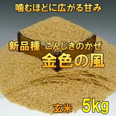 ふるさと納税 奥州市  金色の風(こんじきのかぜ)玄米 5kg 岩手県奥州市 令和7年産玄米 5キロ[AC027]