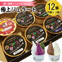 【ふるさと納税】花巻発！極上ジェラート12個セット 120ml×5種類 厳選 アイス ジェラート スイーツ