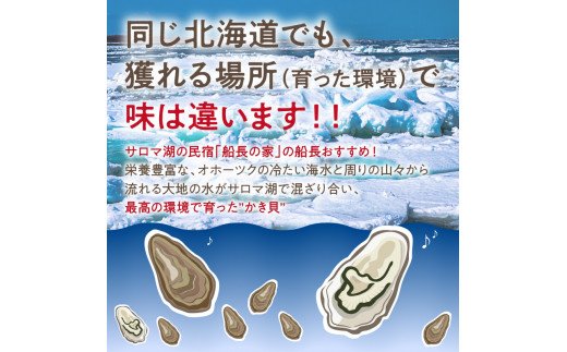 【予約：2024年10月下旬から順次発送】サロマ湖自慢の殻付きカキ貝 2年物 4.5kg詰め ( 牡蠣 かき 濃厚 魚介類 貝類 カキ ふるさと納税 牡蠣 北見市 BBQ )【114-0013-2024】