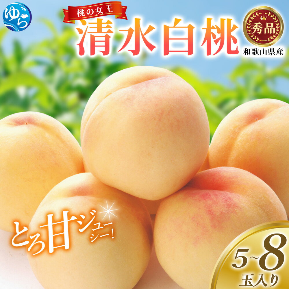 【ふるさと納税】☆2026年先行予約☆ 和歌山県産 桃の女王『清水白桃』 5～8玉入り 秀品【2026年7月中旬から8月上旬ごろ発送】｜桃 白桃 もも 果物 デザート 人気